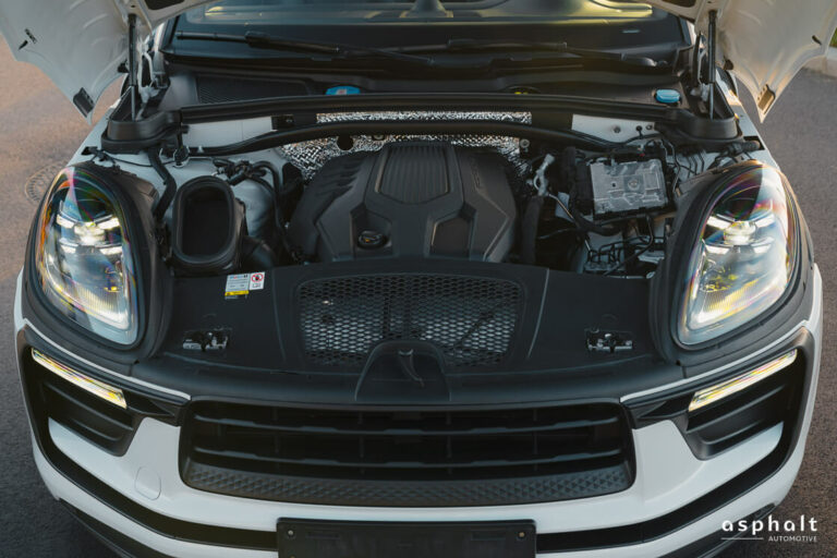 Macan_11